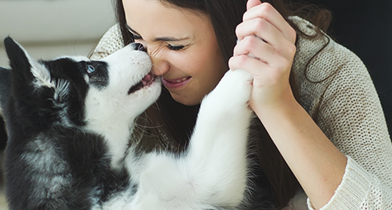 Your Pets Are Always Welcome